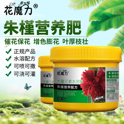 朱槿肥料扶桑花营养肥赤槿佛桑红木槿桑槿大红花状元红催花养护肥