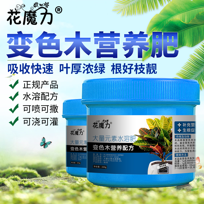 变色木肥料室内盆景观叶植物变叶木老来俏变色月桂养护专用营养肥