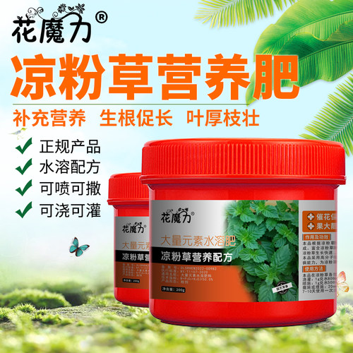 凉粉草肥料仙草仙人草仙人冻薪草尖萼鱼黄草洗草家庭菜园营养肥