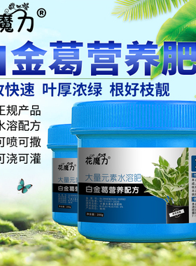 白金葛肥料室内盆景观叶植物雪花葛Silver pothos养护专用营养肥