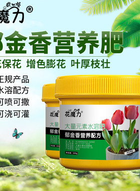 花魔力郁金香花专用肥厂家批零