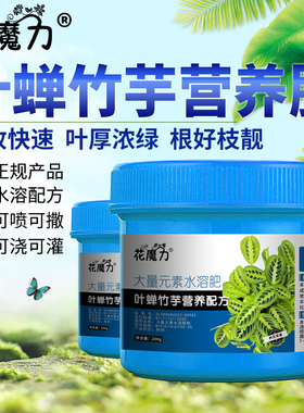 叶蝉竹芋肥料Maranta leuconeura 'Fascinator四季养护专用营养肥