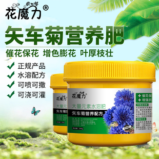 矢车菊肥料蓝芙蓉翠兰荔枝菊天人菊翠菊蓝花矢车菊催花四季营养肥