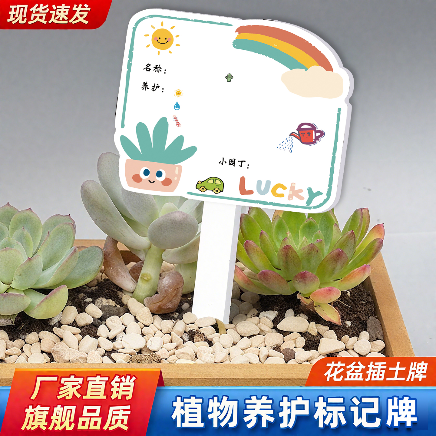 幼儿园植物标签插牌绿植DIY养护卡片标识牌定制花卉盆栽植物信息介绍牌可擦写防水园艺擦拭标签介绍牌定制贴