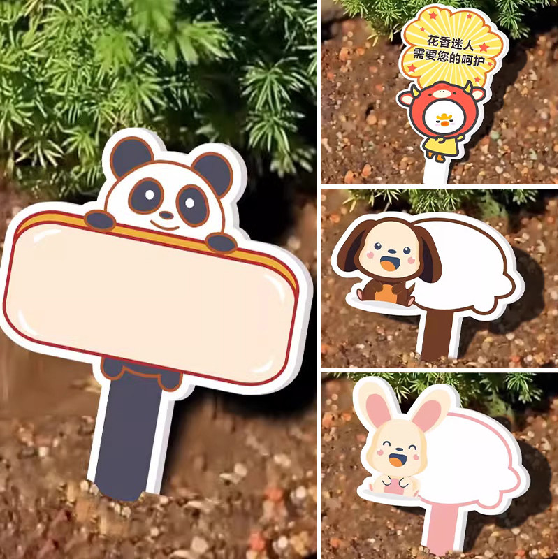 幼儿园绿植标签插牌班级种植牌子植物信息介绍牌绿植卡片学校植物角d