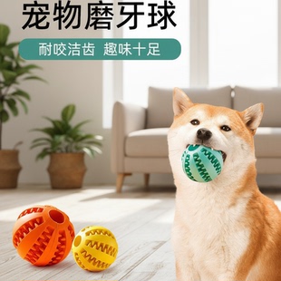 宠物磨牙球训练狗狗自嗨趣味十足耐咬洁齿通用型训练互动球状玩具