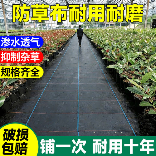 防草布除草布加密加厚耐用抗老化