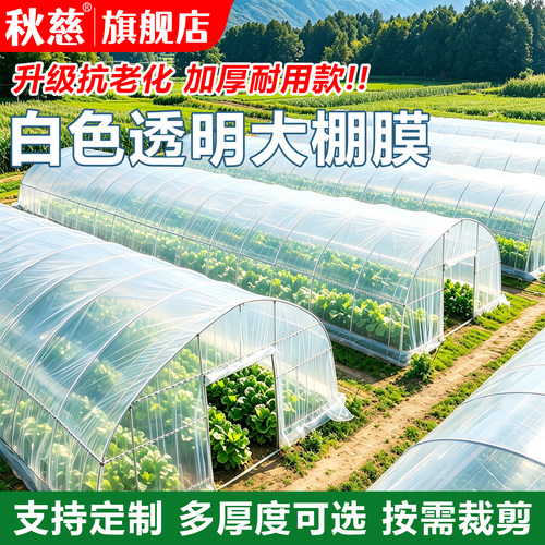 白色透光率95%无滴膜透明大棚膜