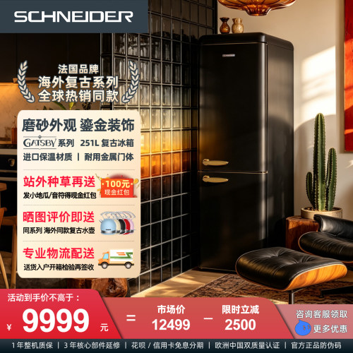 SCHNEIDER复古冰箱一级能效