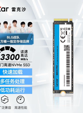 雷克沙NM610PRO二手95新SSD