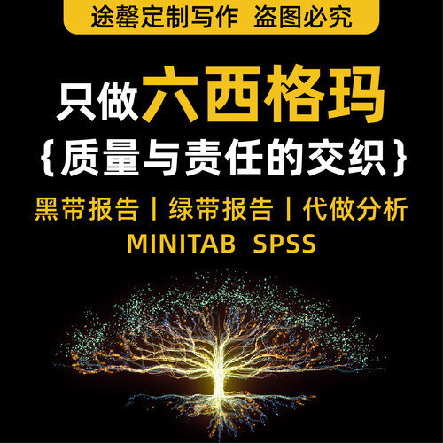 六西格玛报告编写QC成果报告代做撰写编写工法管理创新信得过班组