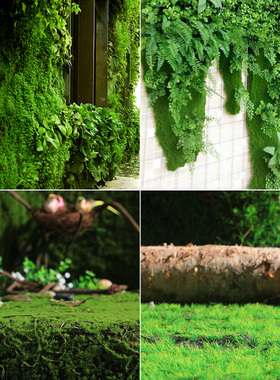 仿真植物墙青苔草皮人工草坪绿色地毯垫子室内墙面橱窗装饰假苔藓