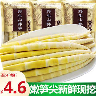 小竹笋新鲜竹笋野山笋春笋野生小笋子嫩笋尖火锅笋罗汉笋500g/袋