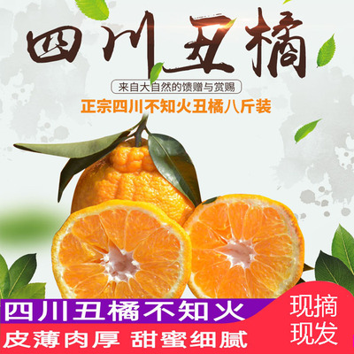 【丑橘不知火】正宗四川丑八怪鲜果8斤大果18个以内脆甜可口