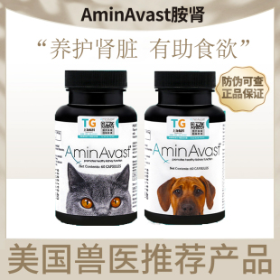 美国进口AminAvast胺肾安心停宠物促进健康肾脏功能肾脏保健品