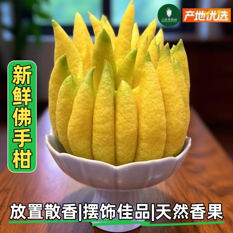 云南佛手柑特大鲜果天然香薰新年装饰观赏摆件室内盆栽香橼佛手果,鲜花速递/花卉仿真/绿植园艺,绿植,淘宝优惠券,粉丝福利购,淘宝优惠卷