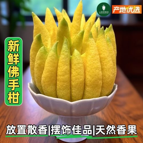 佛手柑鲜果云南直发鲜花室内桌面装饰观赏摆件香橼佛手果天然香薰