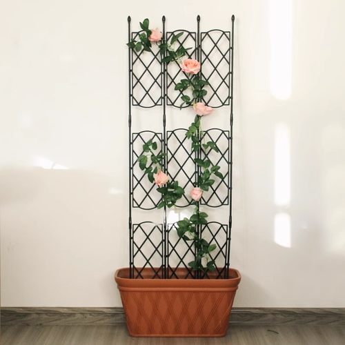 阳台植物爬藤花架造景屏风牵牛花