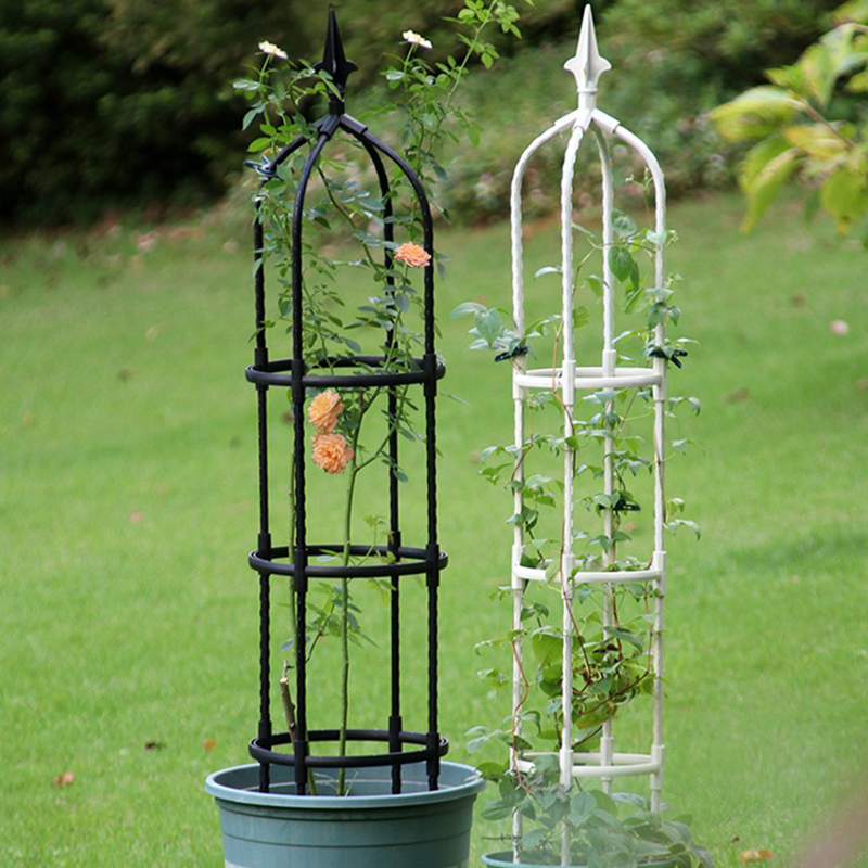 铁线莲爬藤架飘香藤爬藤支架