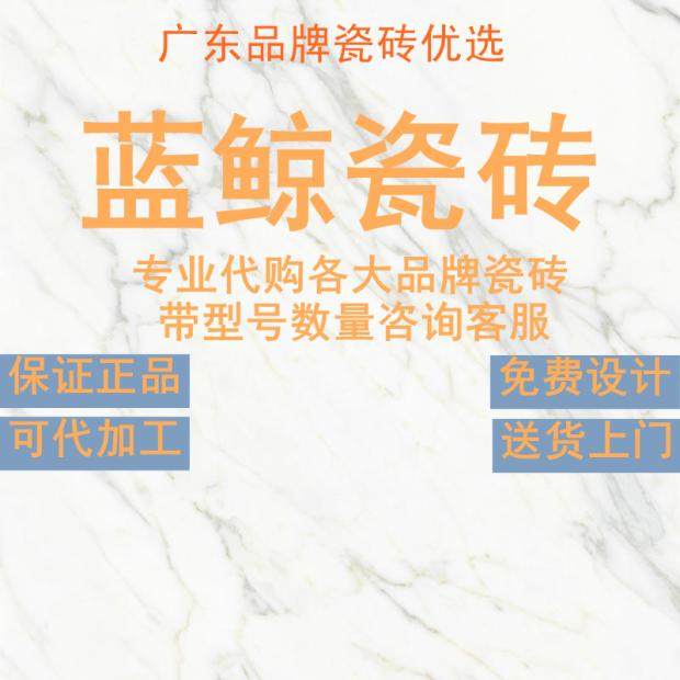 蓝鲸瓷砖广东佛山800x800客厅地砖防滑卧室简约连纹通体大理石