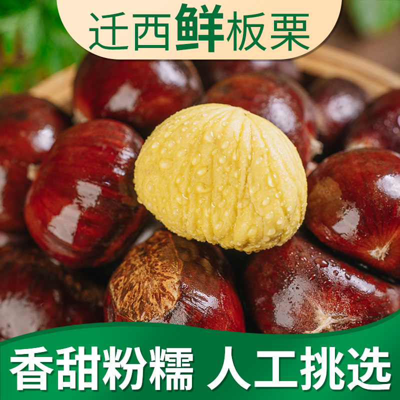 2025迁西板栗生新鲜栗子