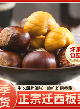 2025迁西板栗生新鲜栗子嫩板栗仁带壳现摘青栗子油栗5斤产地直发