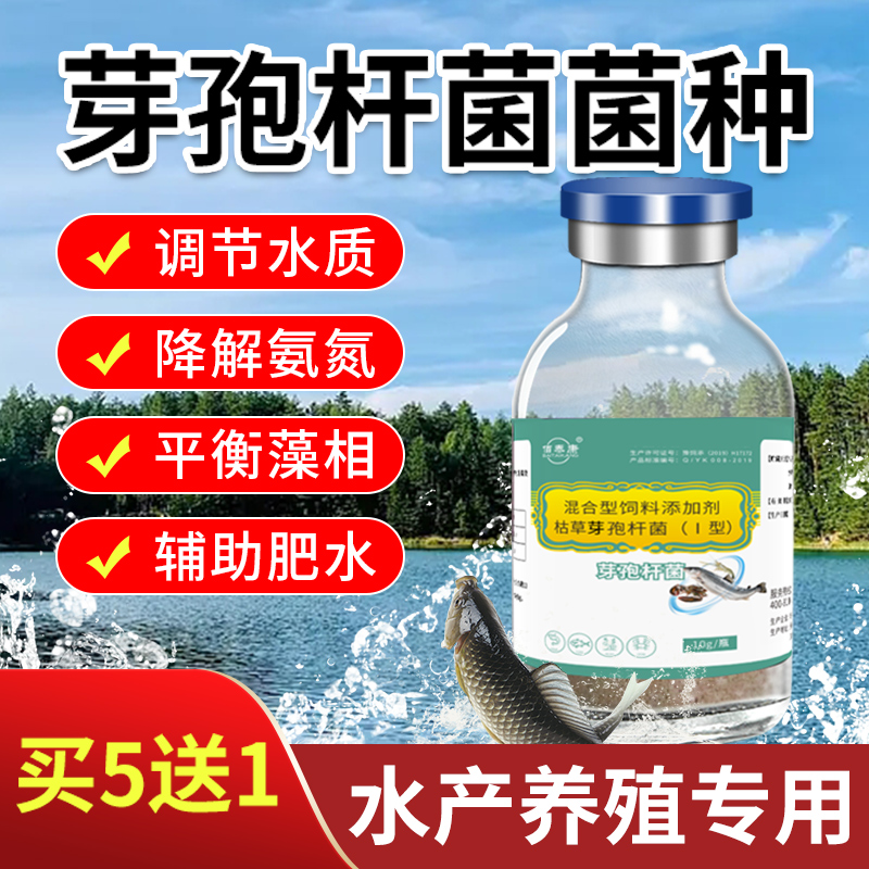 枯草芽孢杆菌水产养殖水质调节剂