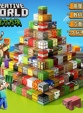 My World Magnetic Square Building Blocks Changeable Magnet A