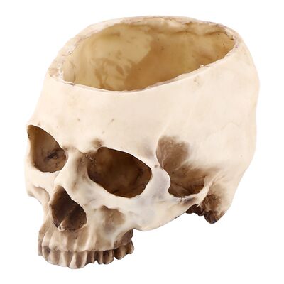 Resin Skull Head Design Flower Pot Planter Container Decorat