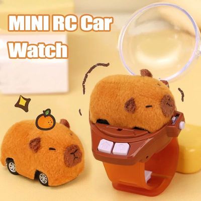 Capybara Rabbit Remote Control Car Watch Toys with Light 2.4