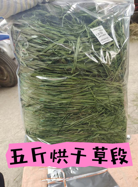 2025精品7ASSS烘干提莫西草兔子龙猫豚鼠荷兰猪兔粮牧草饲料兔兔