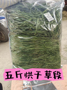 2025精品7ASSS烘干提莫西草兔子龙猫豚鼠荷兰猪兔粮牧草饲料兔兔