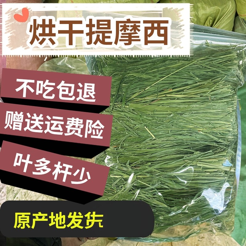 2025精品烘干新草两斤包邮提摩西牧草北提兔子龙猫荷兰猪松鼠猫粮