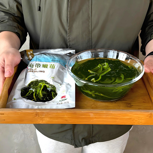 霞浦精选盐渍海带嫩苗家用商用款