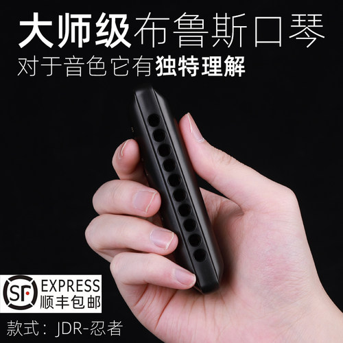 JDR嘉德瑞布鲁斯口琴十孔c调NinJa忍者10孔蓝调初学者PADDY调音