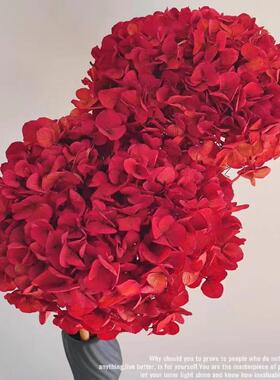 红色绣球永生干花不养水家庭会所高档真花装饰布景高级网红花材