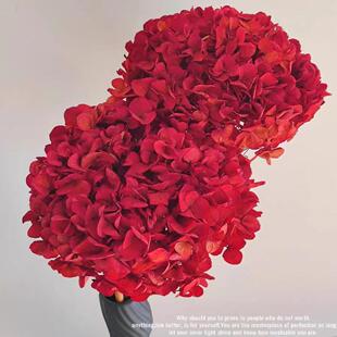 红色绣球永生干花不养水家庭会所高档真花装饰布景高级网红花材