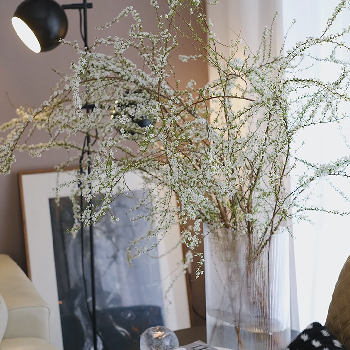 雪柳鲜花带花苞长花期云南直发