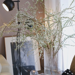 雪柳鲜花带花苞发货包开花长花期绿植鲜切枝家养水培插花云南直发