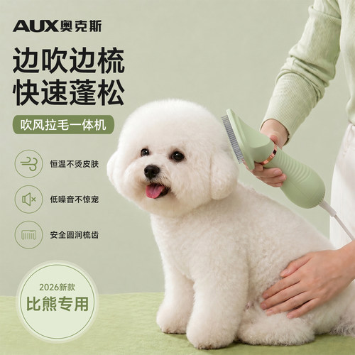 【吹拉毛一体】奥克斯比熊吹风梳