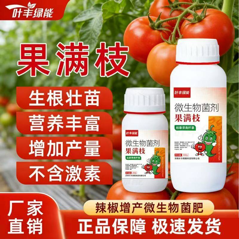 【官方正品】叶丰绿能果满枝