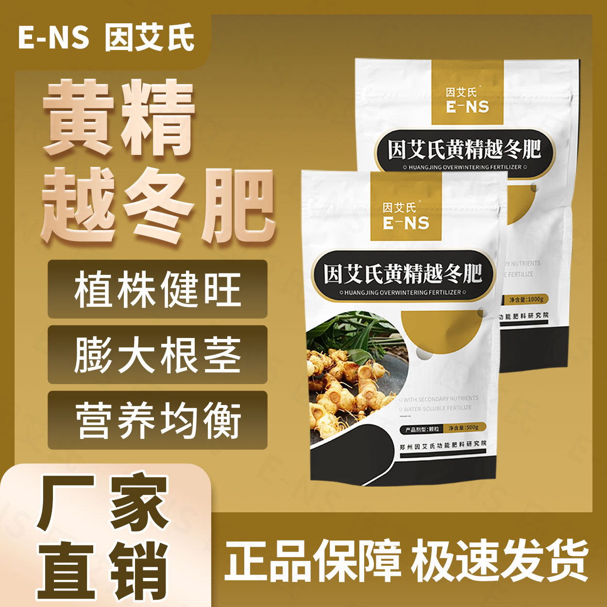 【官方正品】因艾氏黄精越冬肥