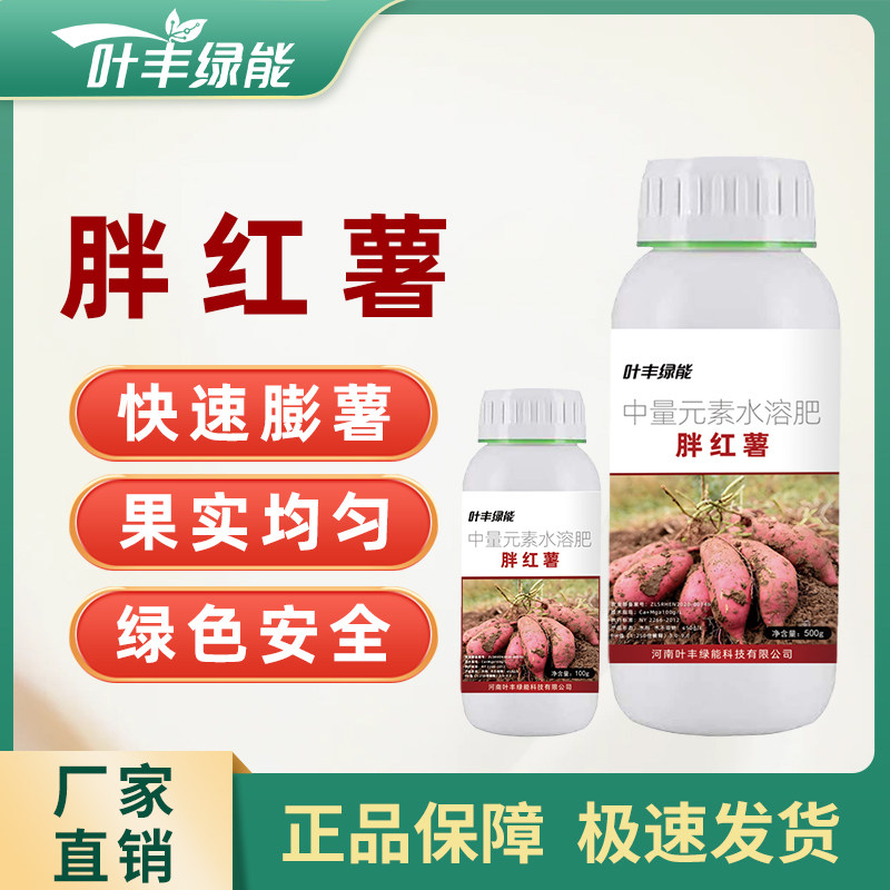 【官方正品】叶丰绿能胖红薯