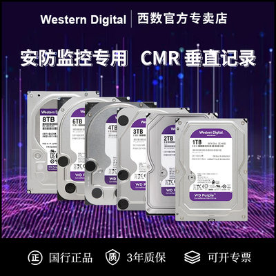 WD/西部数据台式监控NASCMR垂直