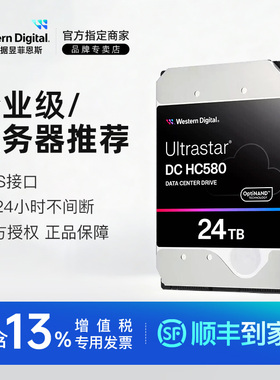 WD/西部数据WUH722424AL5204 24T HC580 3.5寸 SAS企业级硬盘 CMR