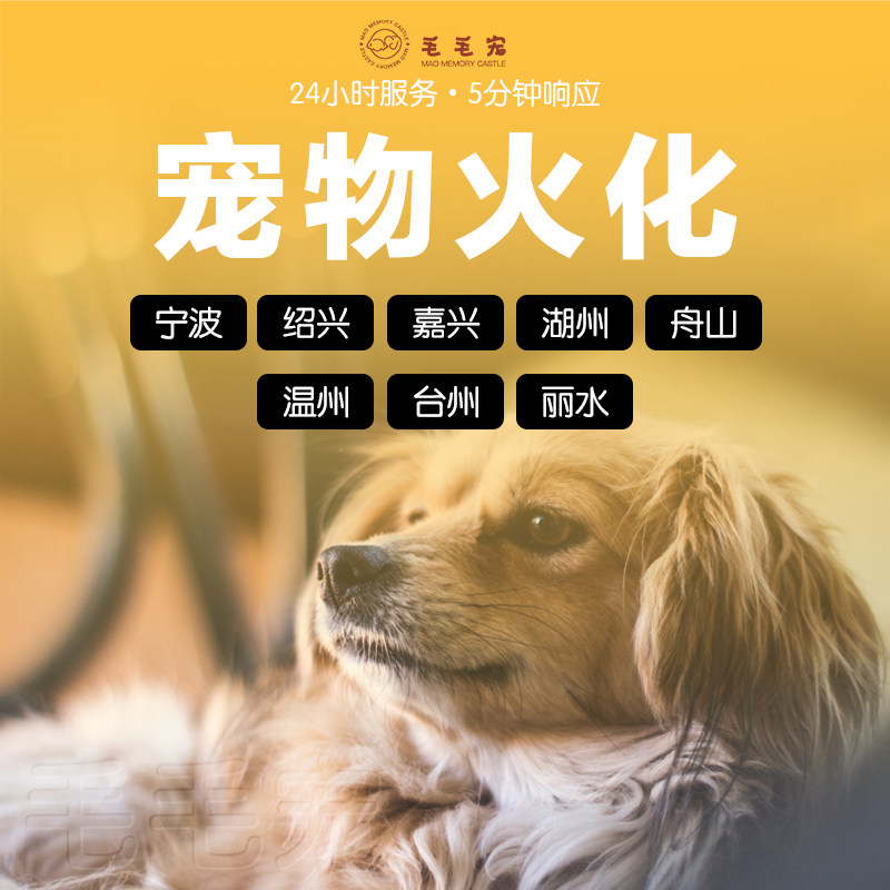 宠物殡葬宁波绍兴嘉兴温州丽水湖州舟山台州台州猫猫狗狗火化服务