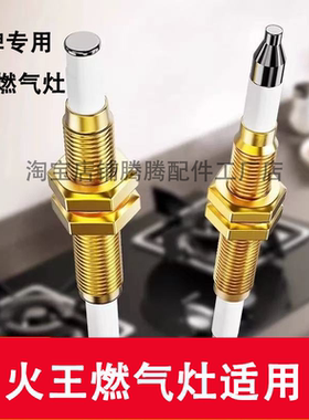 适用火王燃气灶点火针感应针通用配件热电偶猛打火煤气炉天然气