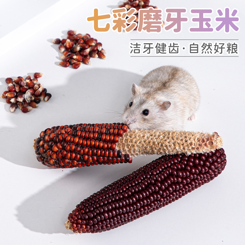 承希磨牙小玉米，磨牙棒