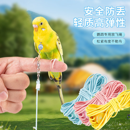 承希鹦鹉牵引绳彩色放飞绳