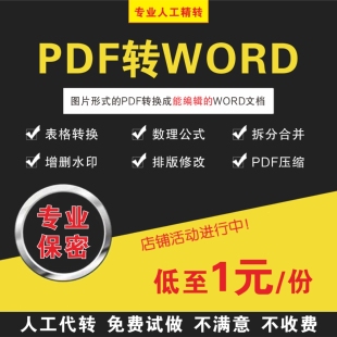 人工pdf转word文档公式excel/txt/ppt图片可编辑文件去水印扫描